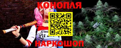 Альфа ПВП Малгобек