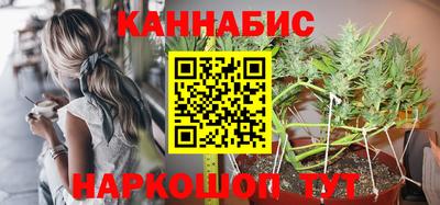 Альфа ПВП Малгобек