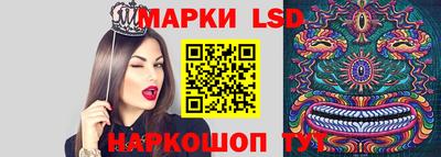 Альфа ПВП Малгобек