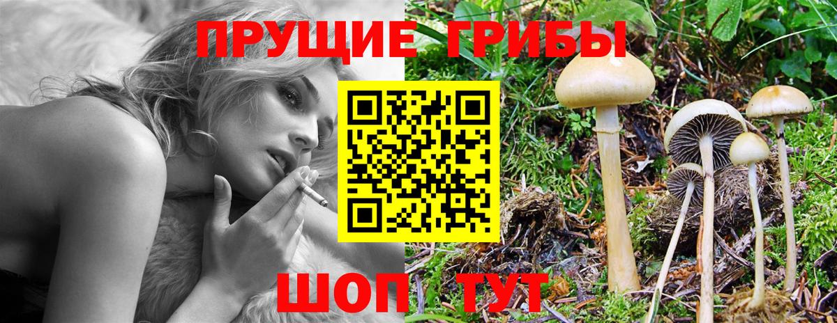Галлюциногенные грибы прущие грибы Уссурийск