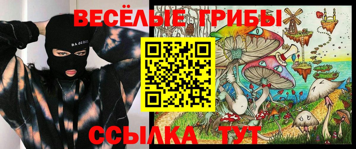 Псилоцибиновые грибы Psilocybine cubensis  Вход с VPN  купить  цена  Уссурийск 